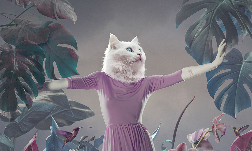 Surreal portrait of white cat